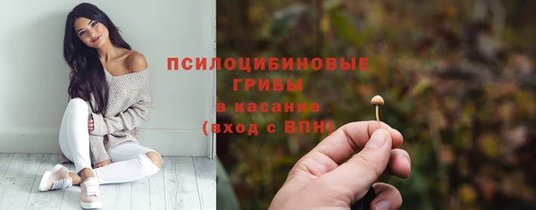 не бодяженный Туринск