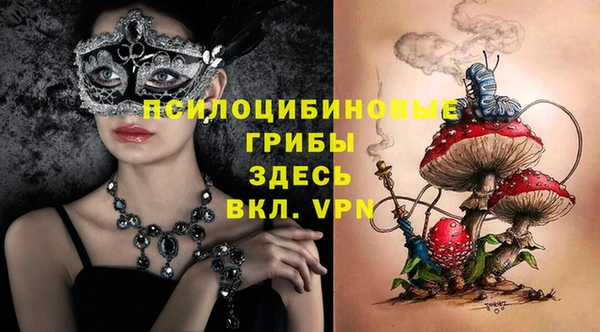 бошки Тутаев