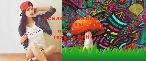 дживик Тында