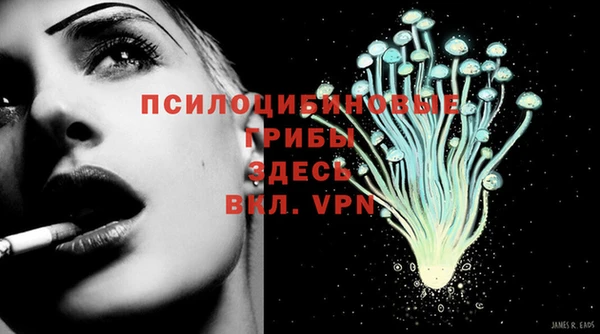 не бодяженный Туринск