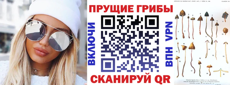 магазин  наркотиков  Домодедово  Псилоцибиновые грибы прущие грибы 