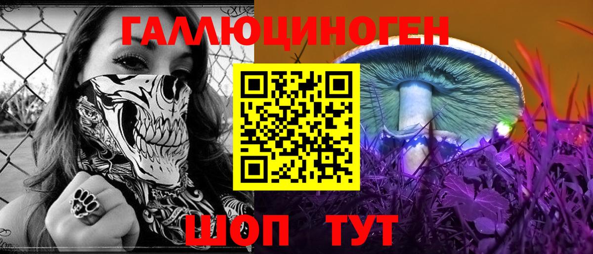 Псилоцибиновые грибы Psilocybine cubensis  Домодедово  купить закладку  Галлюциногенные грибы мухоморы 