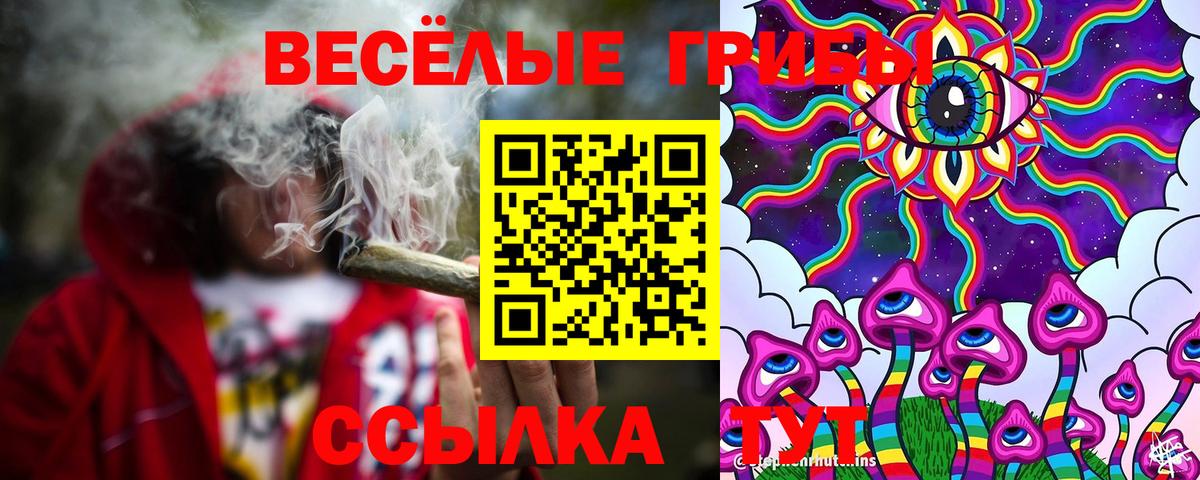 Псилоцибиновые грибы мицелий Домодедово