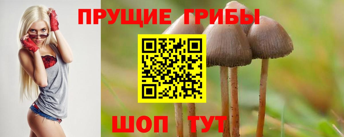 Домодедово  Псилоцибиновые грибы MAGIC MUSHROOMS  Вход с VPN 